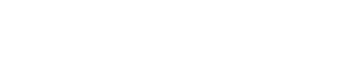 Wholesale AI Robots